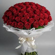 Букет 101 Красная роза Блэк Мэджик в Себежи