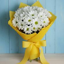 Букет цветов из:  Хризантемы в Себежи