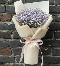 Букет цветов из:  Гипсофила в Себежи