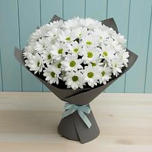 Букет цветов из:  Хризантемы в Себежи