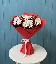 Букет цветов из:  Хризантемы в Себежи