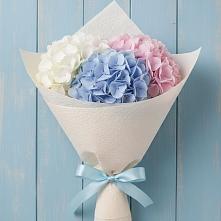 Букет цветов из:  Гортензия в Себежи