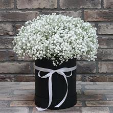 Цветочная композиция из Гипсофила в шляпной коробке в Себежи