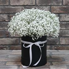 Цветочная композиция из Гипсофила в шляпной коробке в Себежи