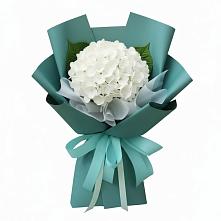 Букет цветов из:  Гортензия в Себежи
